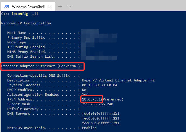 ipconfig showing docker NAT ethernet adapter with ip 10.0.75.1